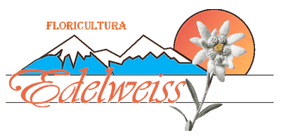 Logo Floricultura
